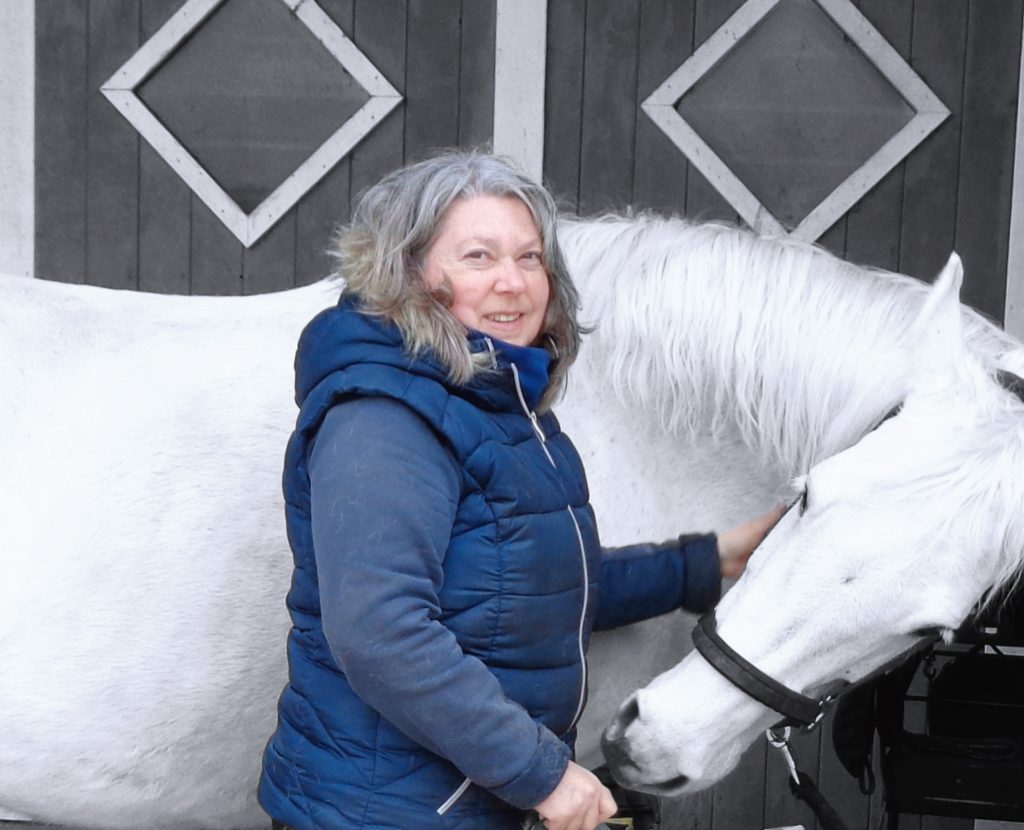 Coaching mit Pferd 